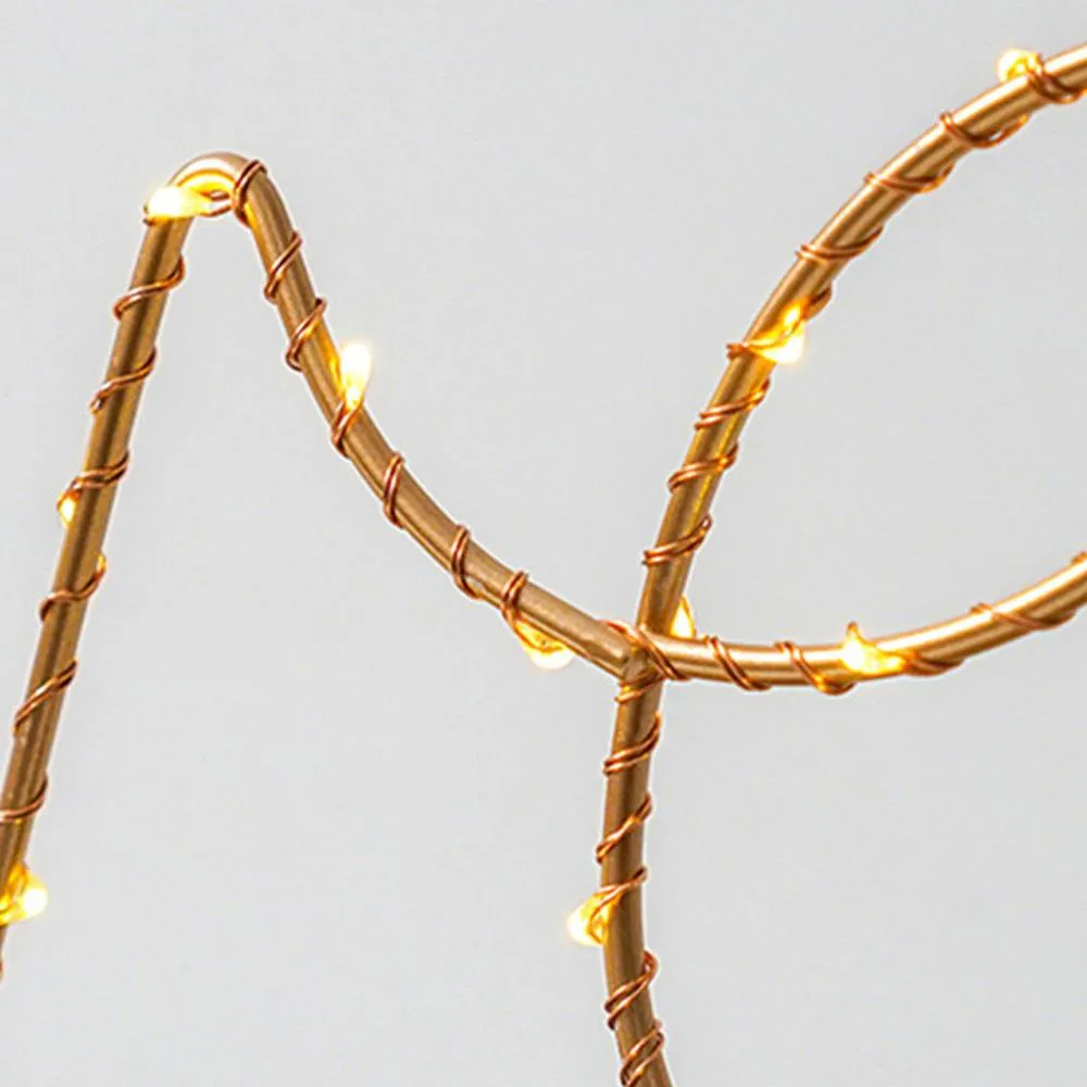 Amor - LED Love Fairy Light