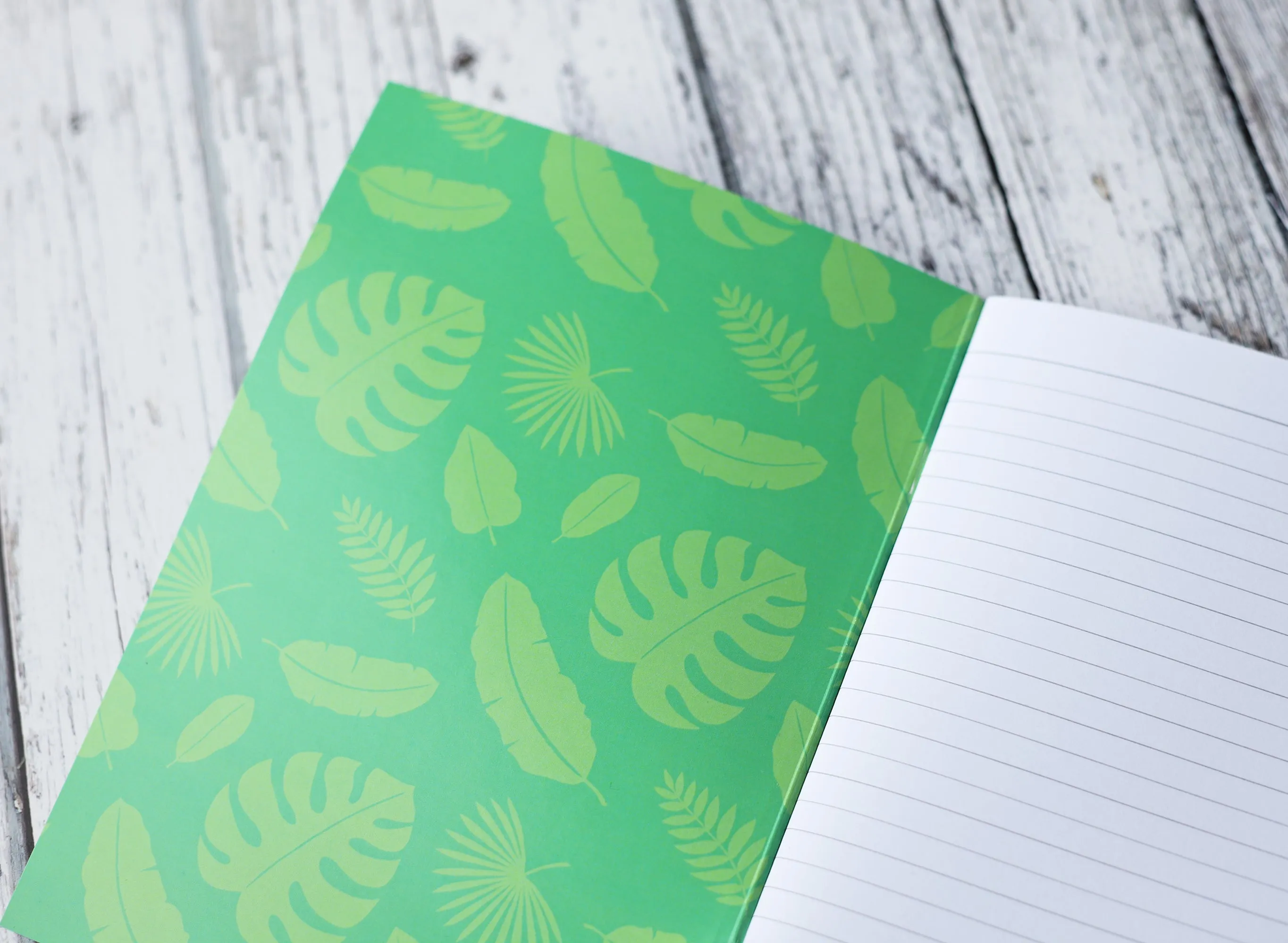 Capybara Illustration Notebook