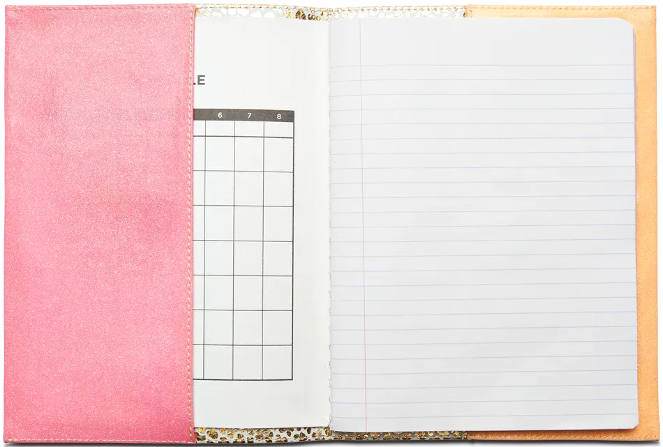 Consuela Notebook Covers - Kit