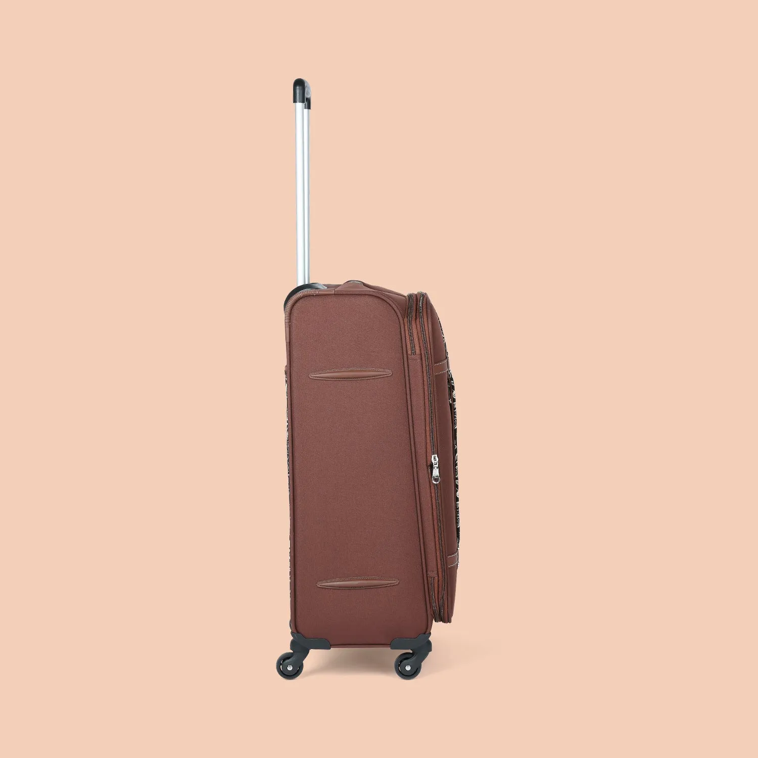FloMotif Saira Trolley Bag Combo (Cabin & Medium)