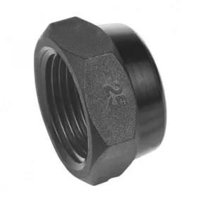 Hansen Female BSP Threaded Poly Caps