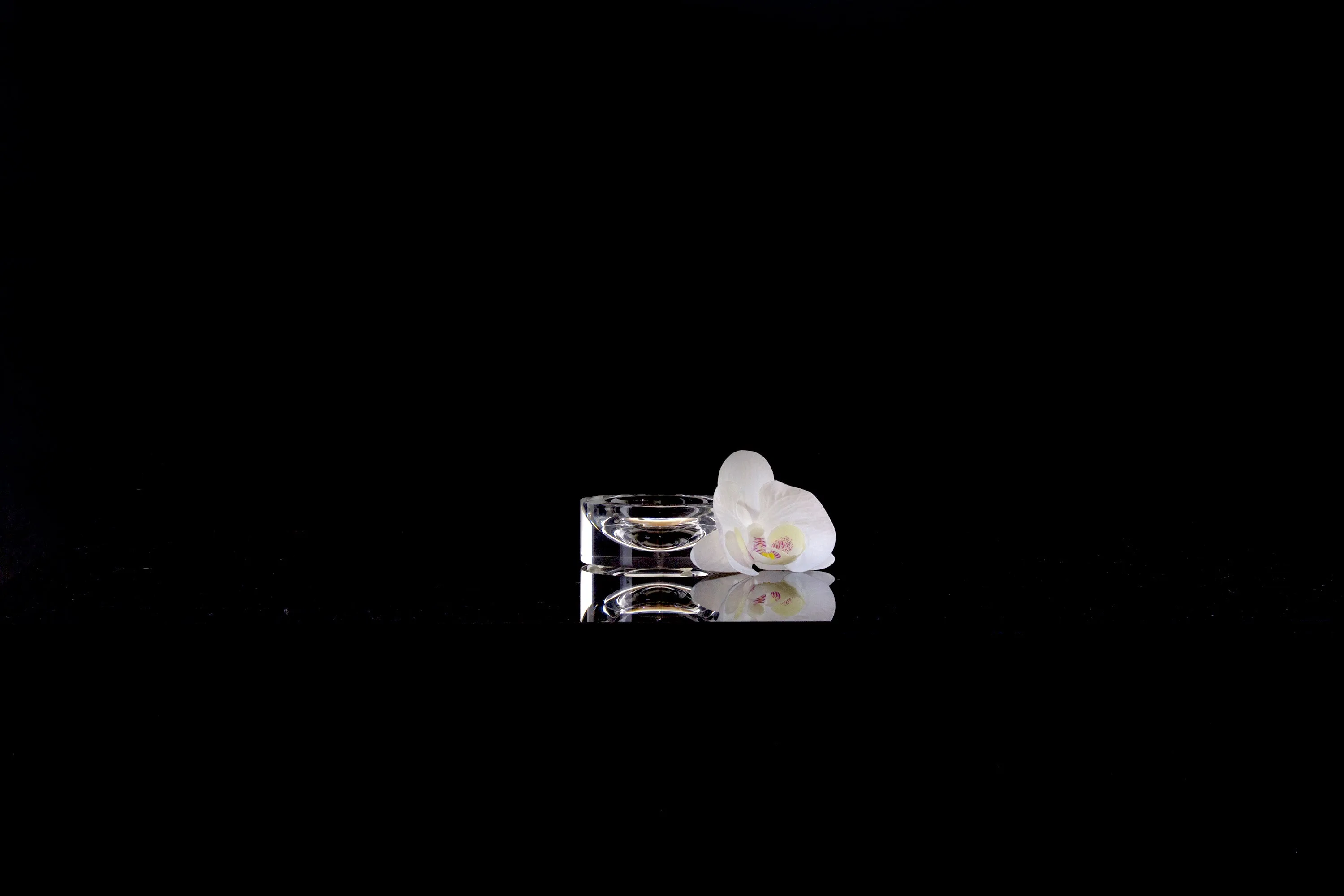 Infinity Bowls in Clear
