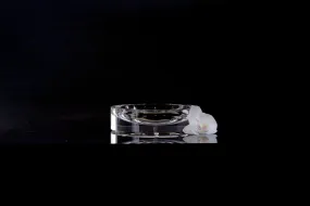 Infinity Bowls in Clear