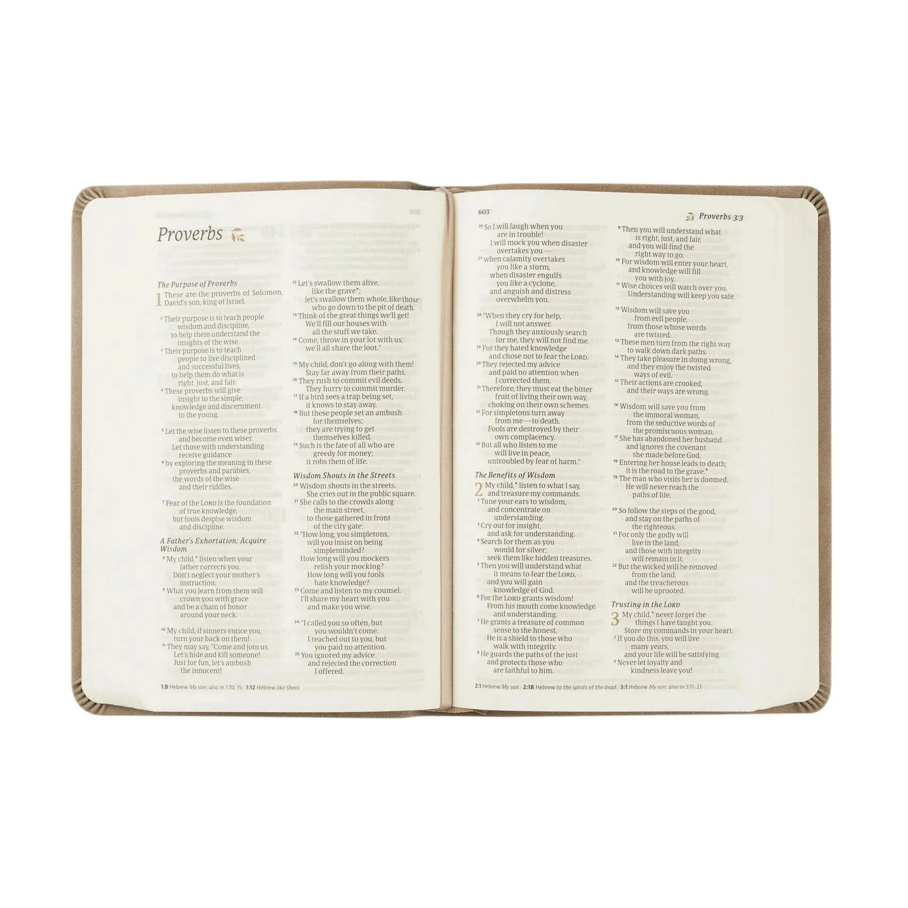 Marlo Compact NLT Bible