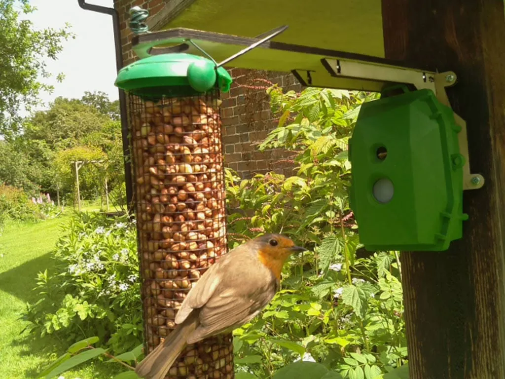 Naturebytes Wildlife Camera Kit