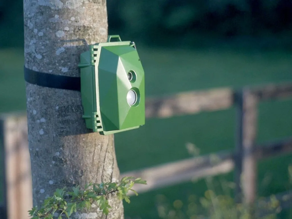 Naturebytes Wildlife Camera Kit