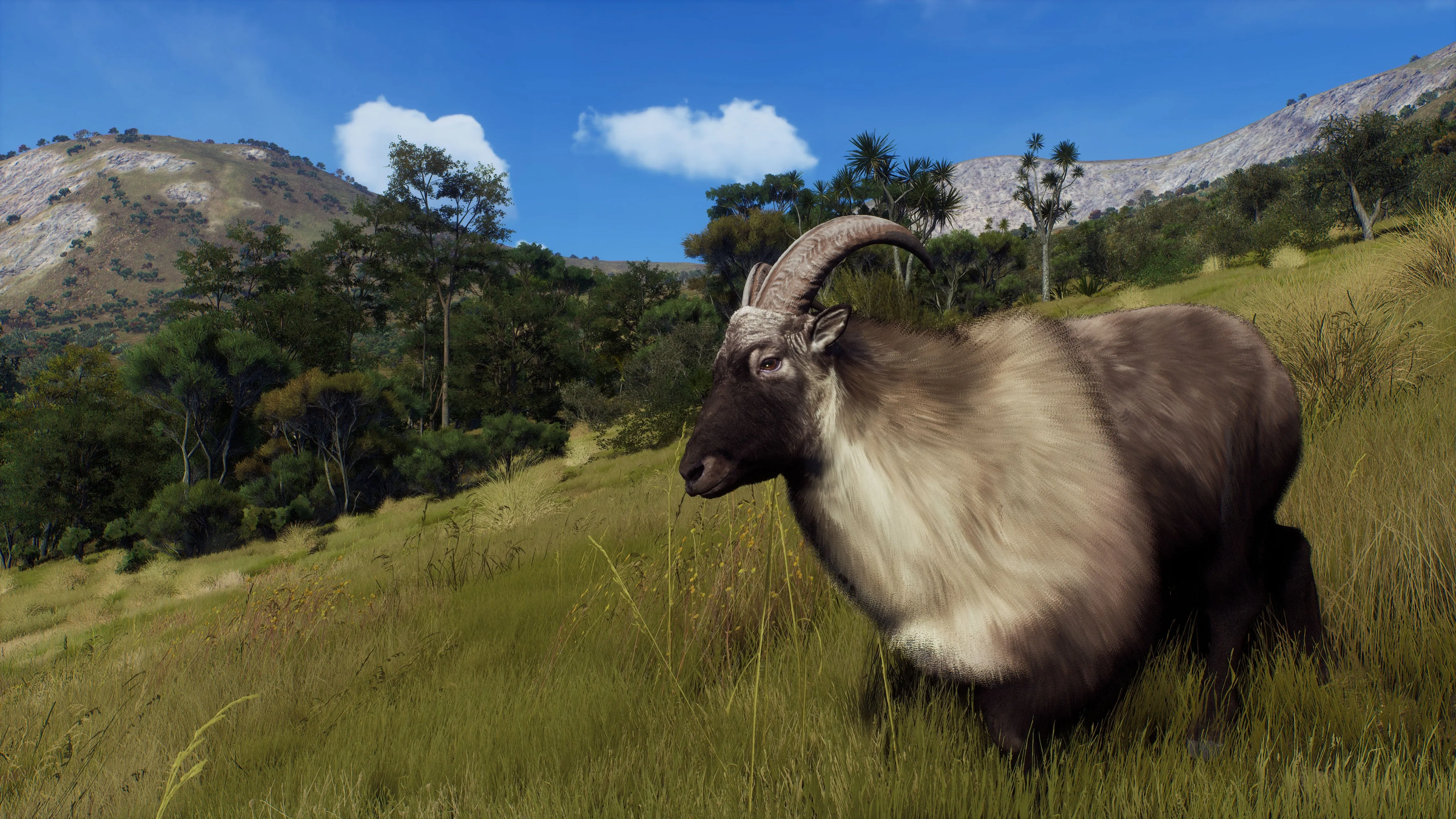 PS5 Way of The Hunter: Wild Expeditions