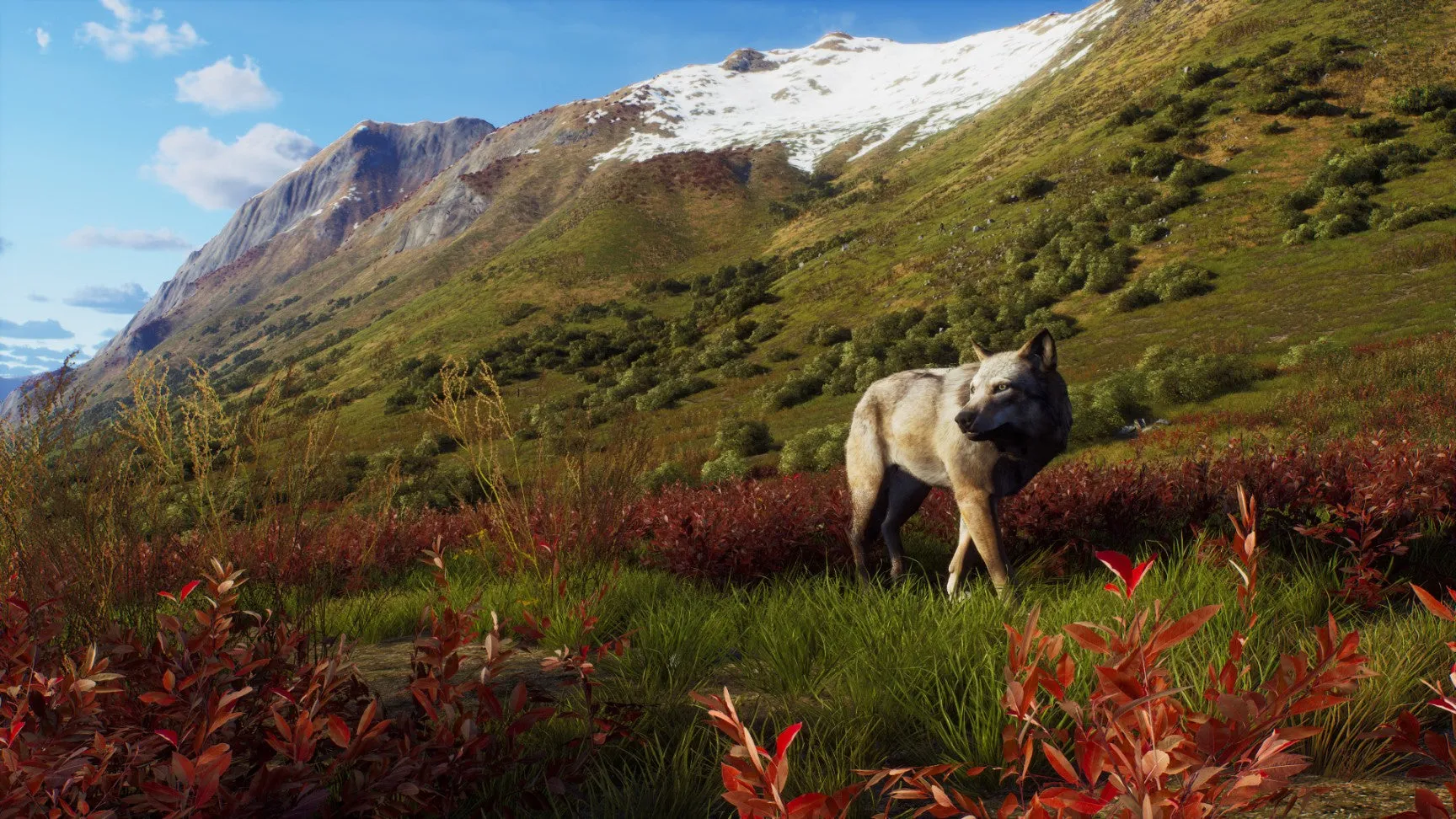 PS5 Way of The Hunter: Wild Expeditions