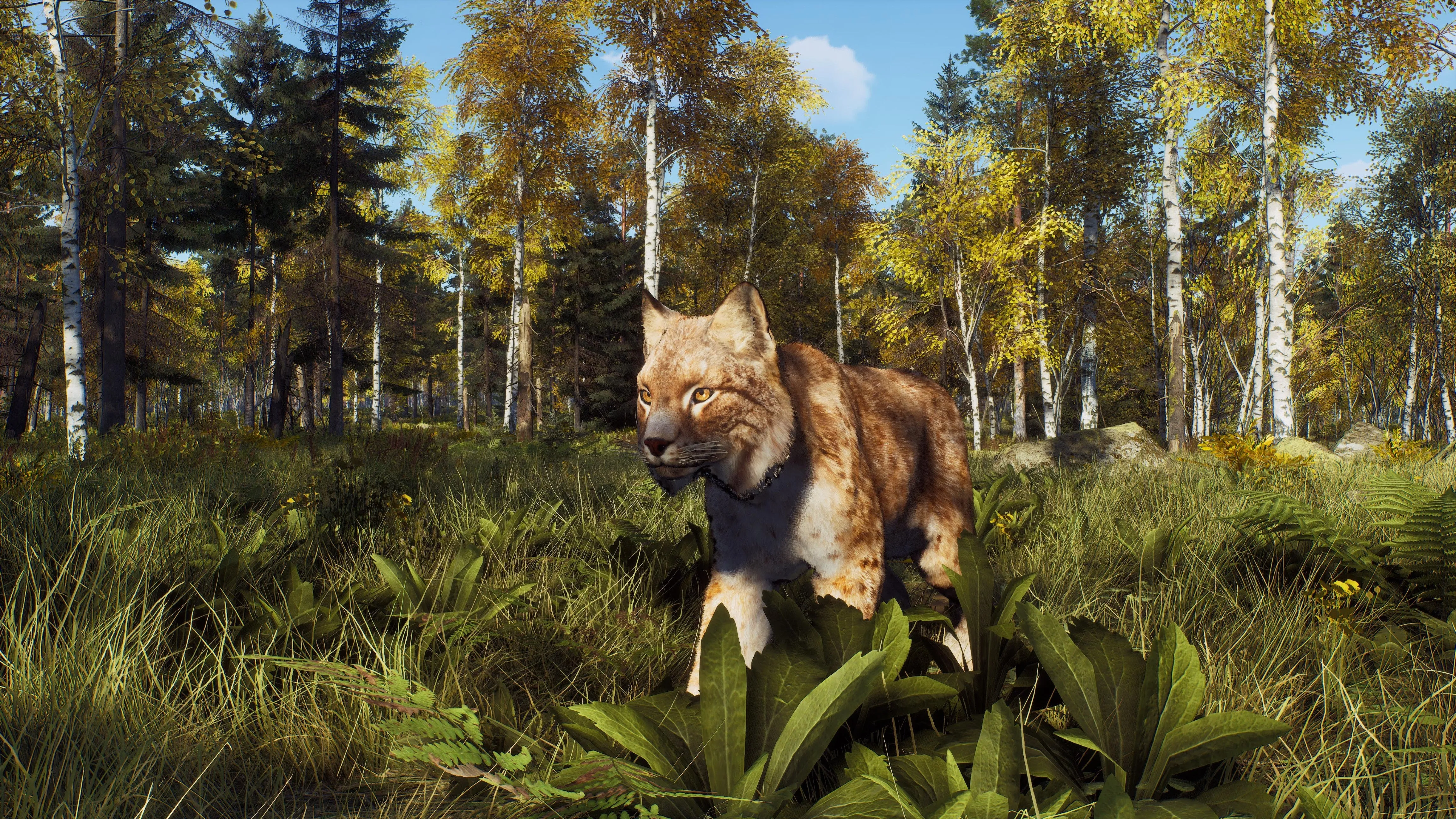 PS5 Way of The Hunter: Wild Expeditions