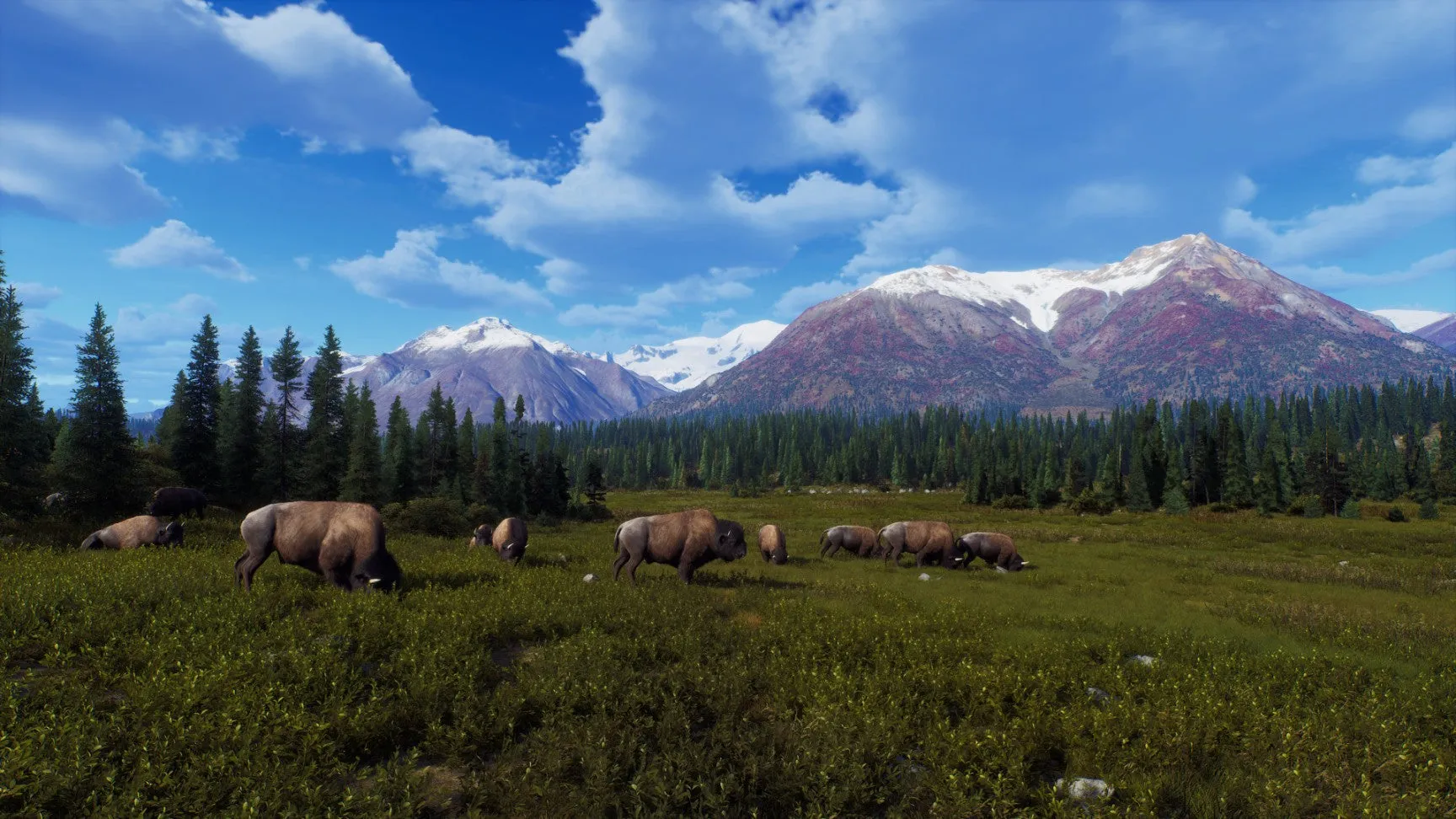 PS5 Way of The Hunter: Wild Expeditions