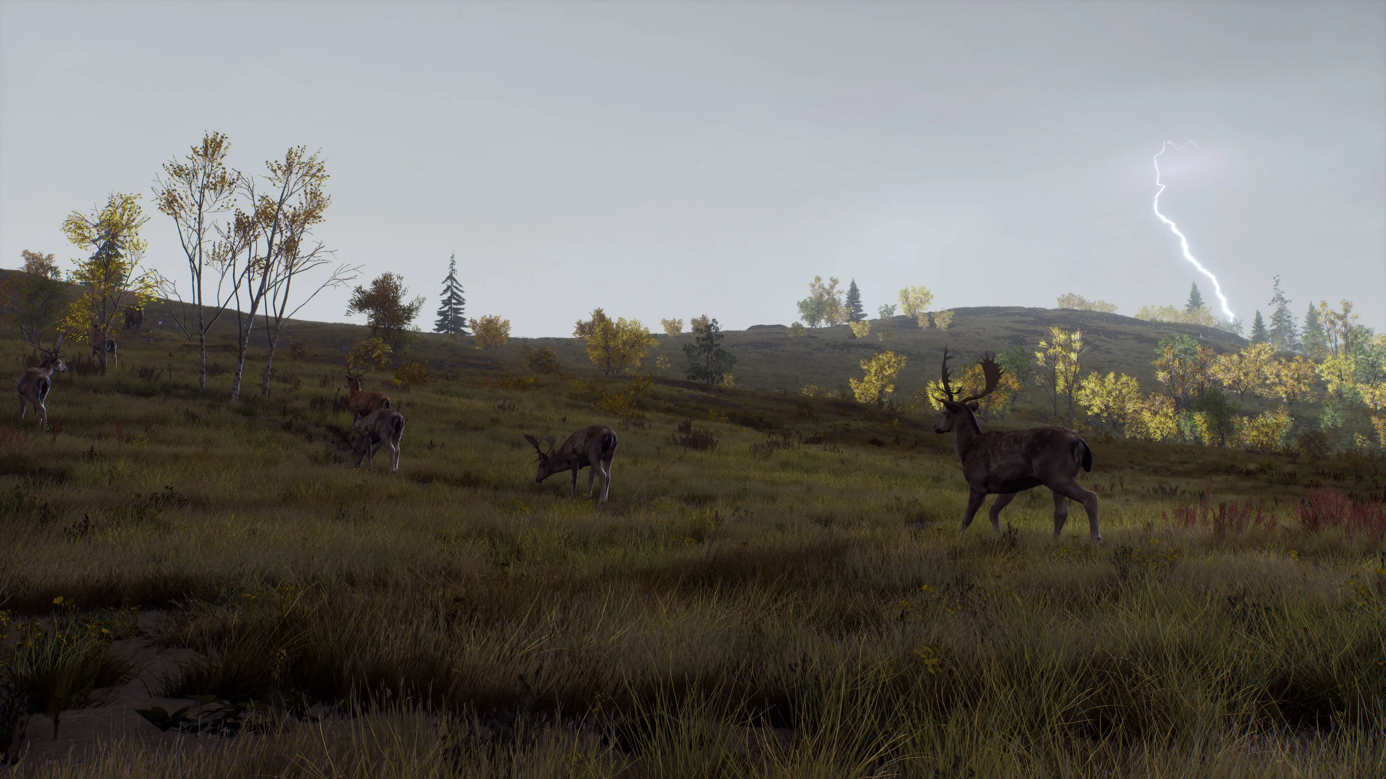 PS5 Way of The Hunter: Wild Expeditions