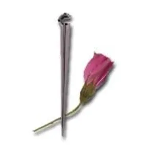 Raindrip R380CT Support Stake, 4 in L, Plastic :CD 10: QUANTITY: 1