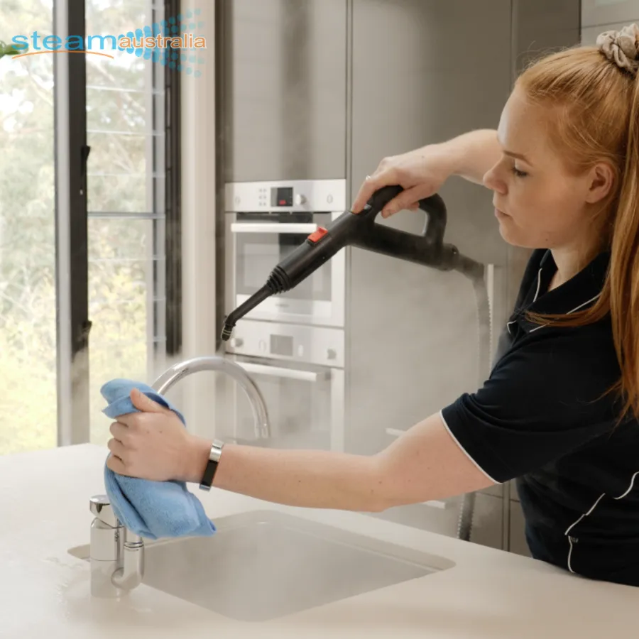 Saphira C8 Dry Steam Cleaner