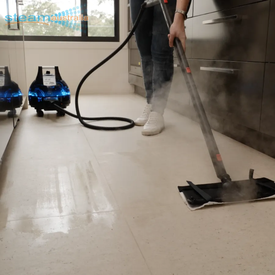Saphira C8 Dry Steam Cleaner