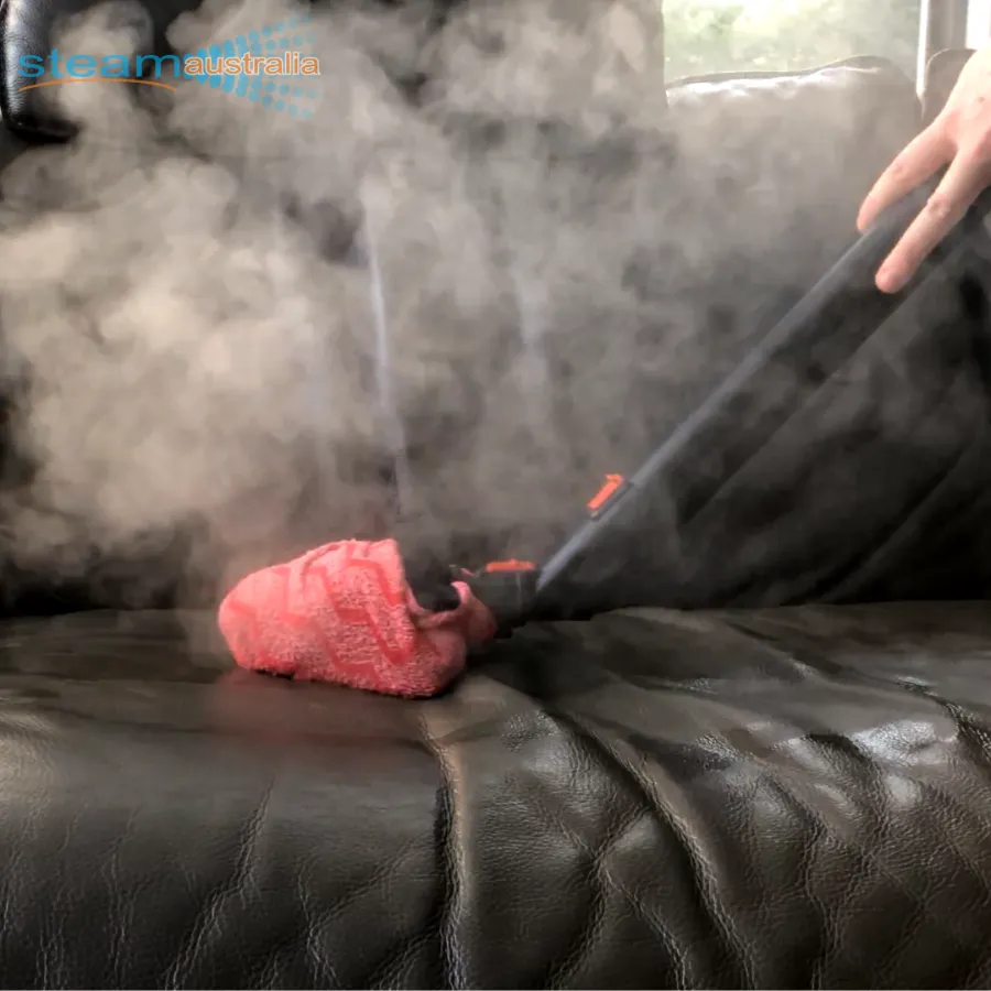 Saphira C8 Dry Steam Cleaner