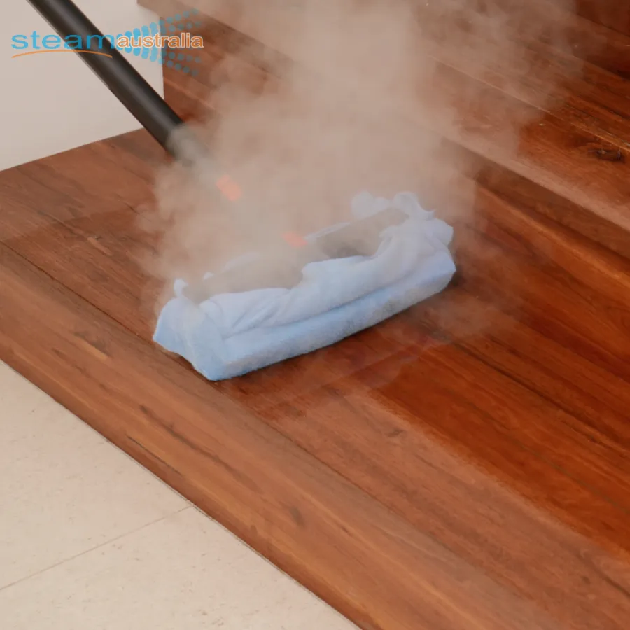 Saphira C8 Dry Steam Cleaner