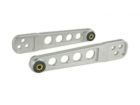 Skunk2 Pro Series Rear Lower Control Arm Raw - 2002-2006 Acura RSX, 03-06 Honda Element - 542-05-0205