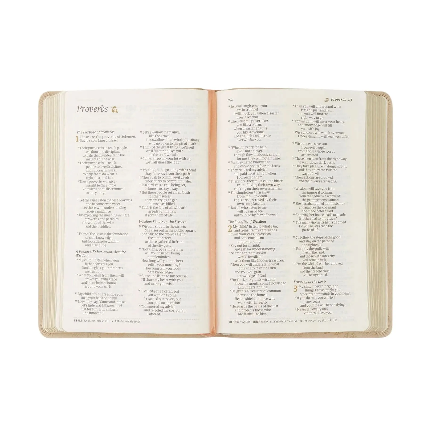 Sonora Compact NLT Bible